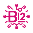 b12-2